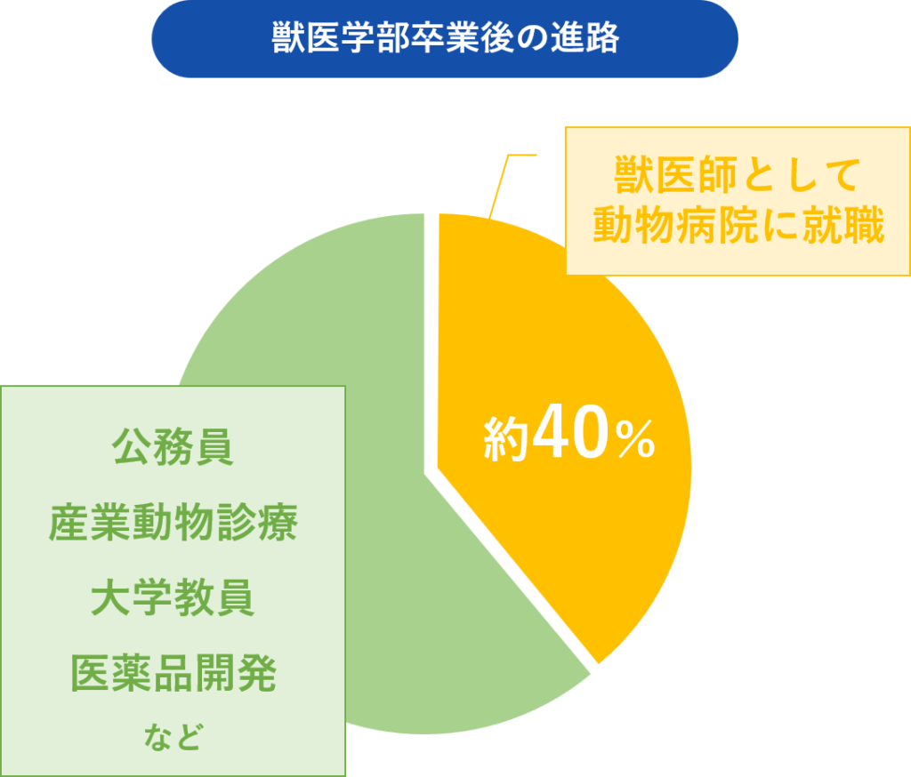 獣医学部・獣医学科に入学するメリットと将来性について