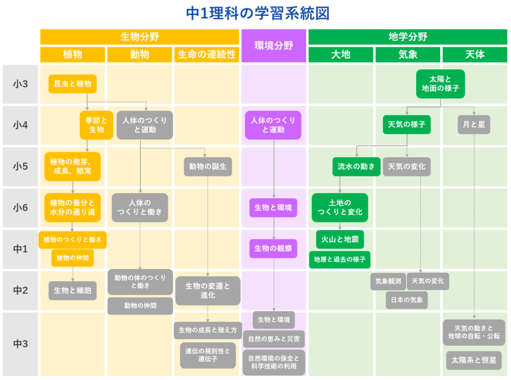 中1理科の学習系統図2