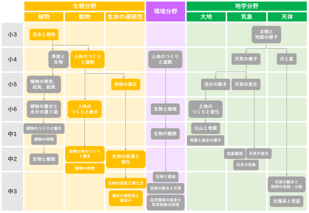 中3理科学習系統図2