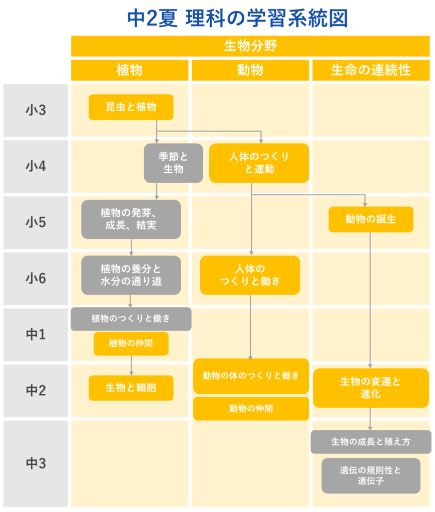 中2理科学習系統図