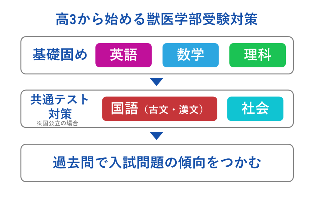 高3から始める獣医学部受験対策