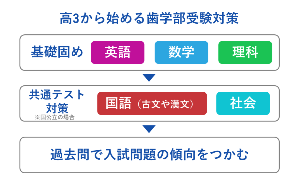 高３から始める歯学部受験対策